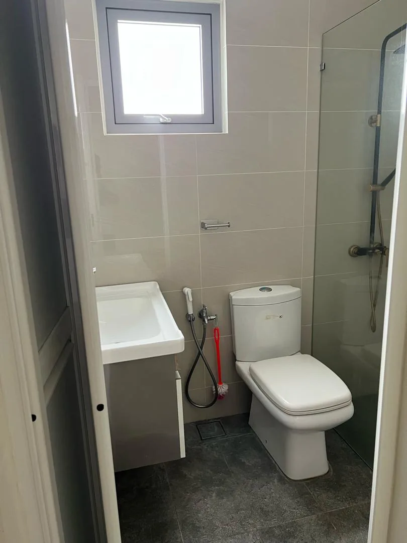 Grey bathroom wall basin toilet
